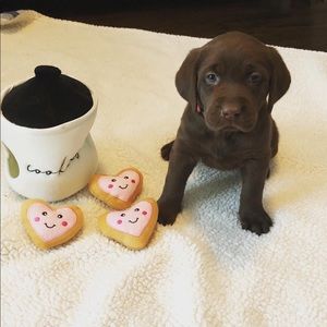 Meet your Posher, Kate